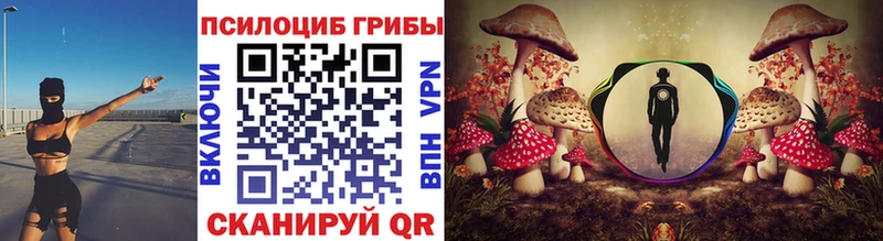 Купить закладки  Шебекино  Галлюциногенные грибы прущие грибы 